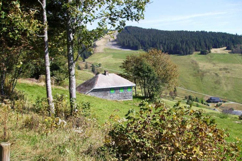 Nach dem Zusammenbruch des nationalsozialistischen Regimes wurde Heidegger die Lehrbefugnis entgzogen. Der Philosoph lebte Jahre zurückgezogen in seiner Berghütte in Todtnauberg im Schwarzwald.